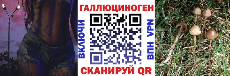 Псилоцибиновые грибы Psilocybine cubensis  Изобильный 
